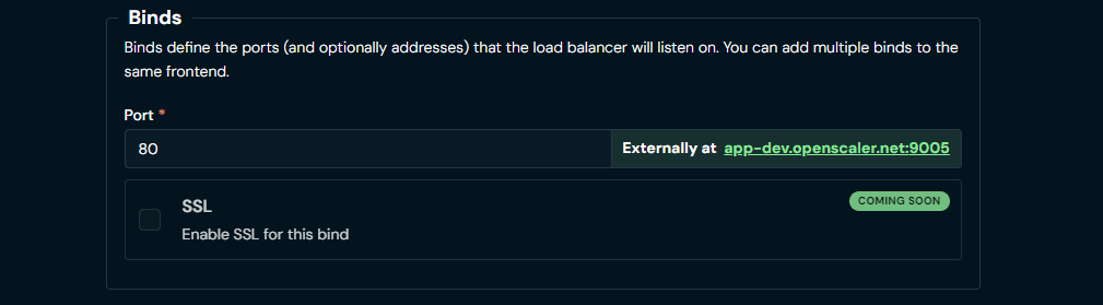 Load Balancer Demo - Click on the address